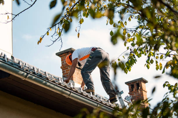 Roof Waterproofing Services in Ballwin, MO