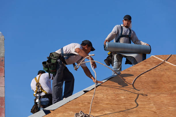 Best Roof Maintenance Services  in Ballwin, MO